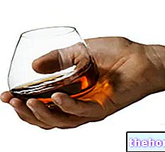 Coñac - alcohol y bebidas espirituosas