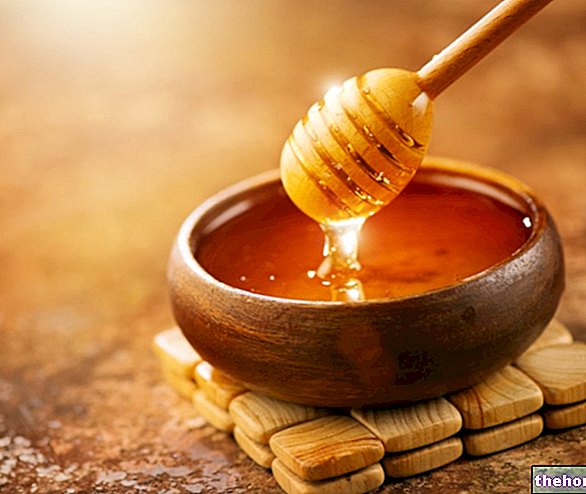 Azúcar o miel: ¿cuál elegir? - nutrición y salud