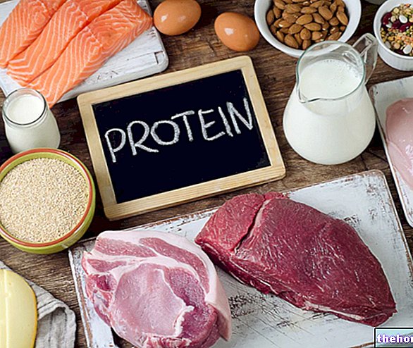 Potreba po beljakovinah: Koliko beljakovin potrebujemo? - prehrana in šport
