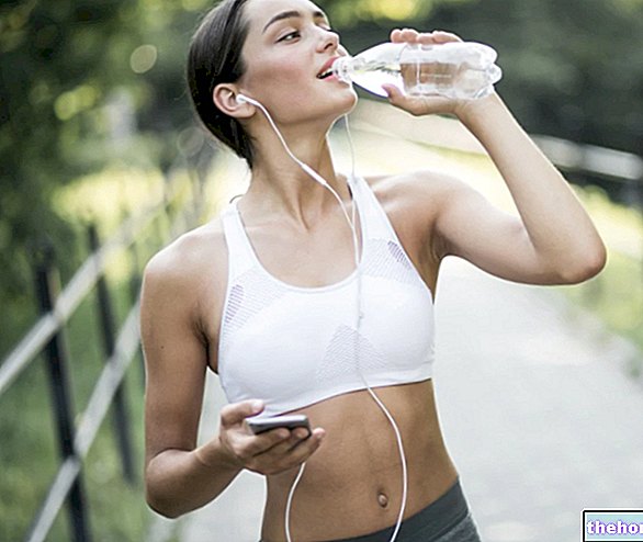 Hidratación en el deporte: ¿Cuánto y qué beber? - nutrición-y-deporte