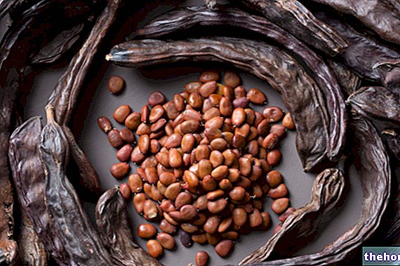 Carob: benefits and how to use it in the kitchen - Power supply