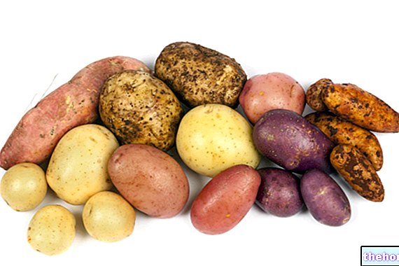Potatoes and sweet potatoes: differences - Power supply