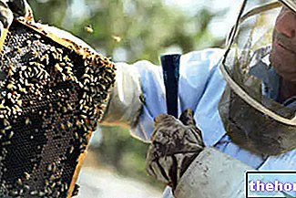 Producción de miel: destapado, extracción de miel, decantación y filtración, calentamiento - Fuente de alimentación