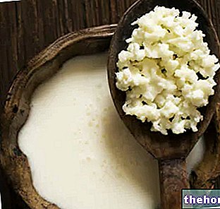 Yogur y leches fermentadas - Fuente de alimentación