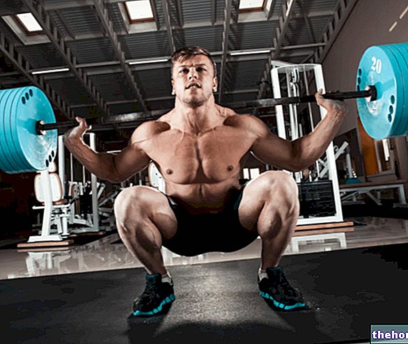 Trening moči pri bodybuildingu - telovaditi
