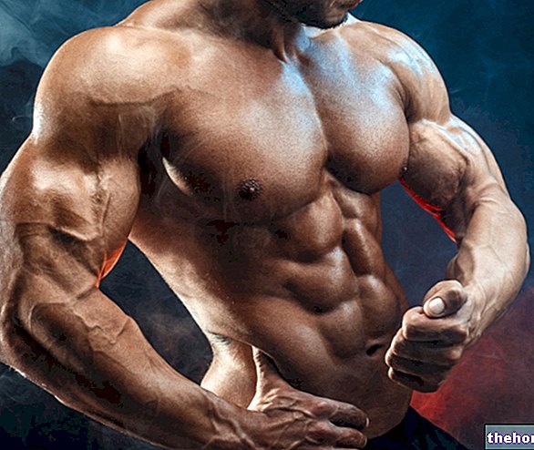 Mišična moč pri bodybuildingu - telovaditi