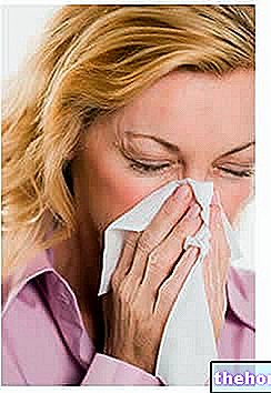 Allergie aux acariens : symptômes, diagnostic et traitement - allergies