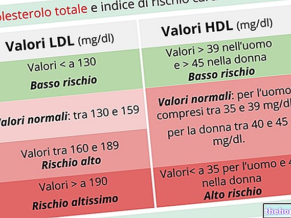 Beregning av HDL -kolesterol