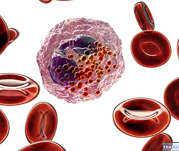 Eozinofily - rozbor krvi