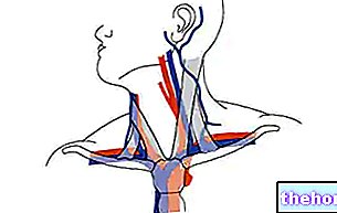 Subclavian - podklíčková tepna - anatomie