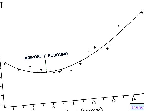 Adiposity rebound - anthropometry
