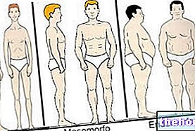 체질적 생체형, 형태형 또는 체세포형, 실제 적용 - 인체 측정