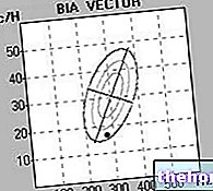 BIA(Bioimpedance)의 값 - 해석 방법 - 인체 측정