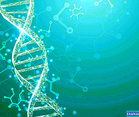 DNR - biologija