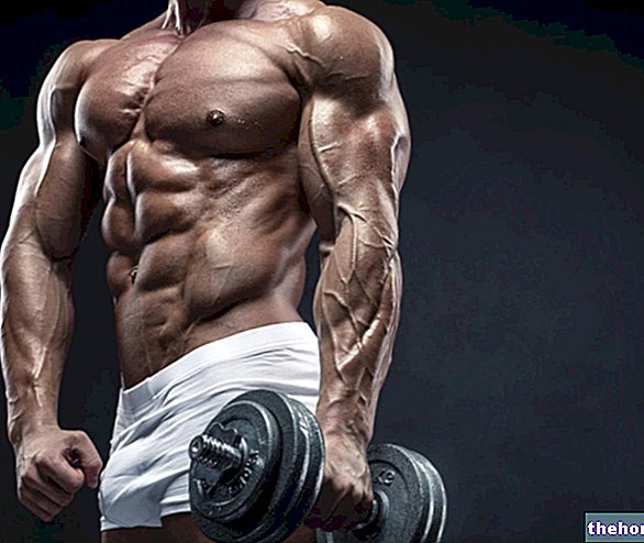 Bodybuilding: Why Short and Intense - body-building
