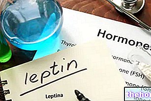 Leptin dan Latihan - pembinaan badan