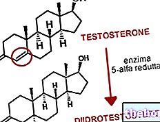 5-alpha réductase et dihydrotestostérone - Cheveu