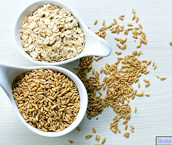 Овес: Хранителни свойства - зърнени култури и производни