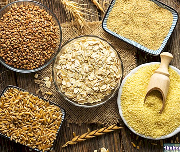 Céréales : nutrition et rôle diététique - céréales-et-produits