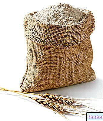 밀가루와 양질의 거친 밀가루 - 곡물 및 파생상품