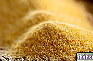 Жълто брашно Брамата - зърнени култури и производни