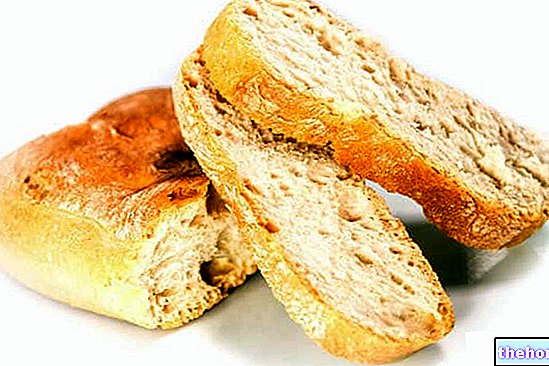 Kruh - žita in derivati