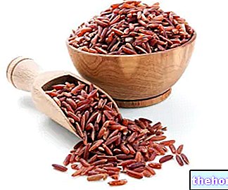 Divoká červená ryža - obilniny a deriváty
