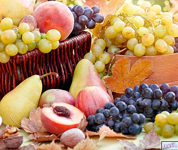 Fruits : Saisonnalité et conservation des fruits - la conservation des aliments
