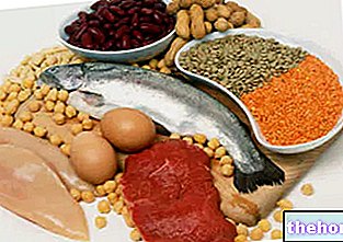 Diet Protein untuk Menurunkan Berat Badan: Kelebihan dan Kekurangan - diet-untuk-penurunan berat badan