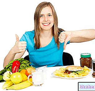 Fast Weight Loss Diets - diets-for-weight-loss