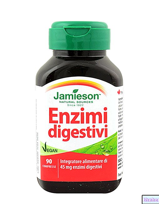 Enzymes digestives - nourriture-digestion