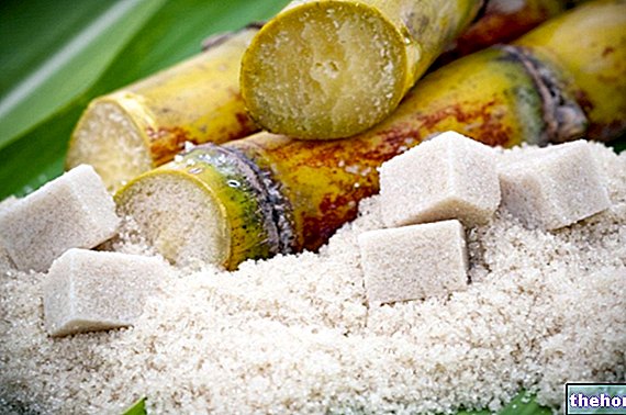 Šećerna trska i šećer od trske - zaslađivači