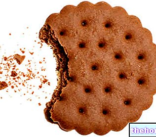 Biscuits au cacao - Caractéristiques nutritionnelles - confiserie