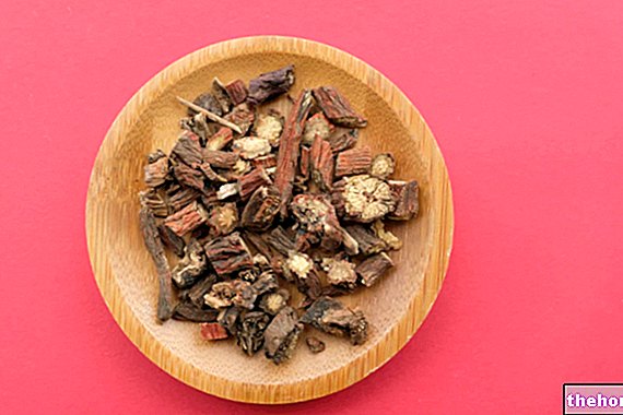 Червен градински чай: какво е това и ползи - лечебни билки