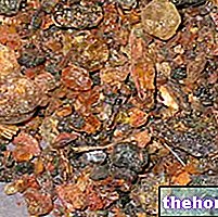 Myrrh in Herbal Medicine: Properties of Myrrh