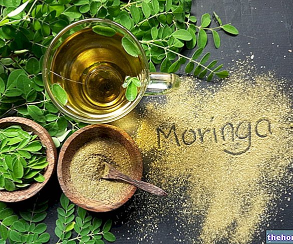 Moringa: omadused ja kasutusalad