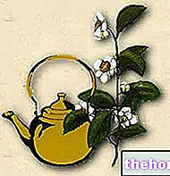 Билкови чайове за отслабване - билколечение