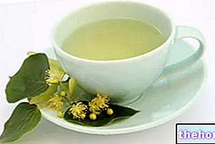 Mengeringkan teh herba untuk menurunkan berat badan - ubat herba