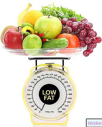 Dieta hipolipídica: principios dietéticos y ejemplo de dieta - ejemplos-dieta