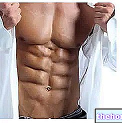 Dieta de ejemplo para la definición muscular en el culturismo - ejemplos-dieta