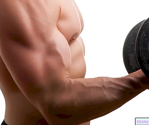 Undvika skador i gymmet: Underarmar och biceps - övningar