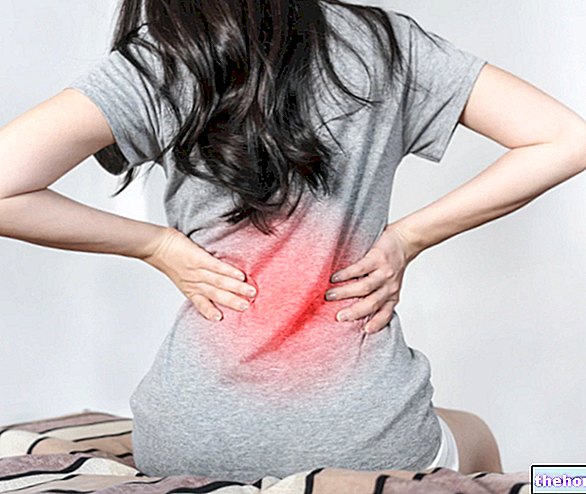 पीठ दर्द के लिए जिम्नास्टिक - अभ्यास