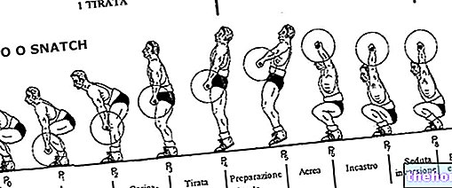 Penggunaan latihan angkat berat dalam latihan atletik - senaman