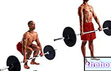 The abc of body building: the fundamentals - exercises