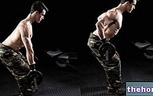 Rowing with Barbell and Dumbbells - exercises