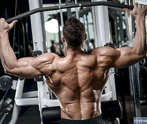 Lat Machine Pull-ups: What Is There To Know? - exercises