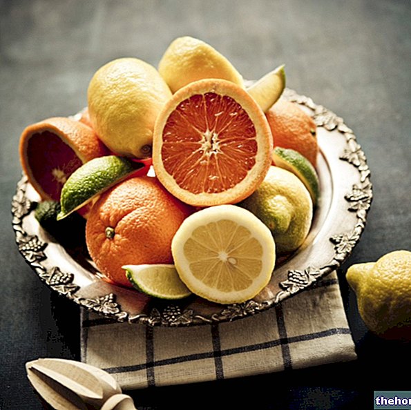 Citrusfrukter och eteriska oljor - farmakognosi