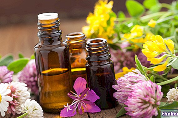Drugs to essential oils - pharmacognosy