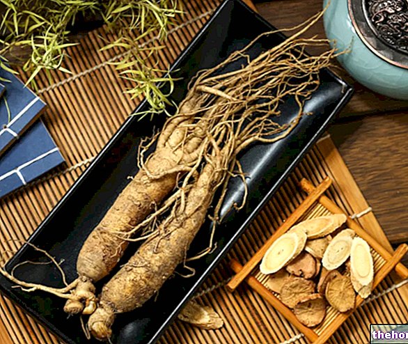 The Properties of Ginseng - pharmacognosy