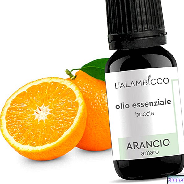 Eterično olje grenke pomaranče - farmakognozija